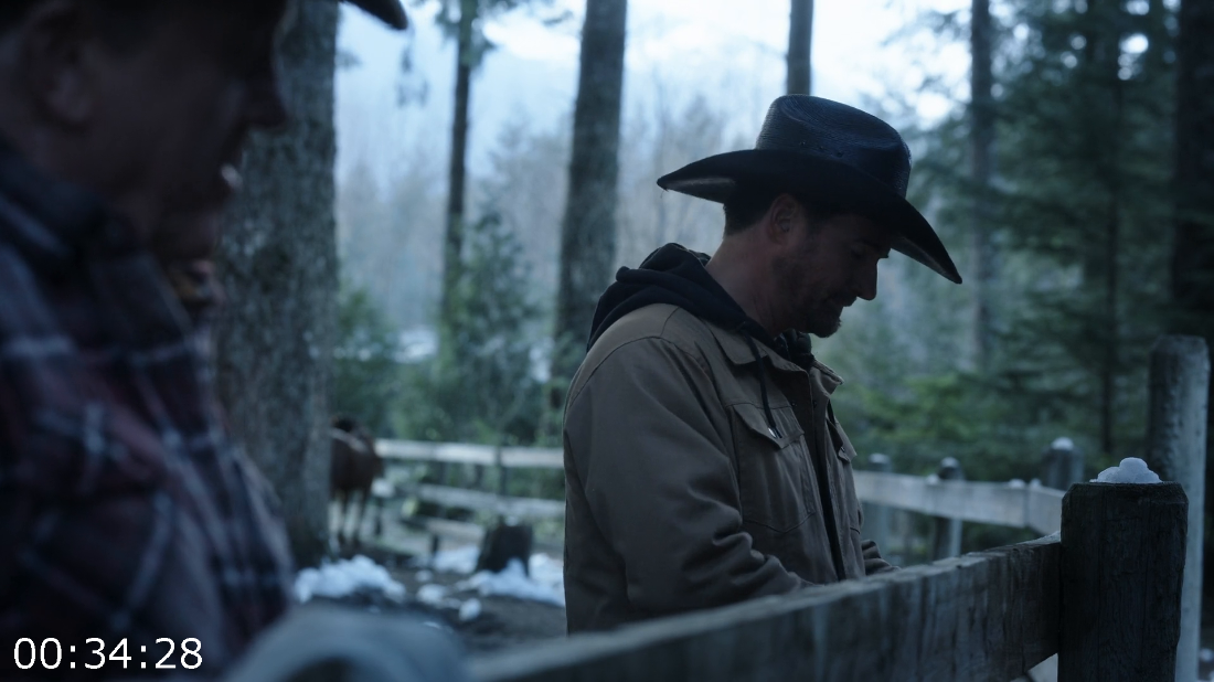 [Image: ME17060C_o.png]