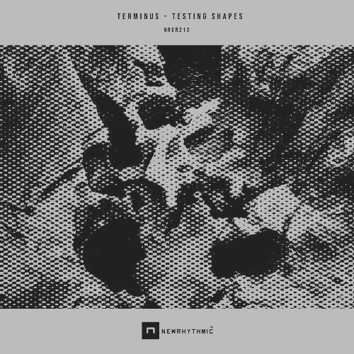  Terminus - Testing Shapes (2026) 