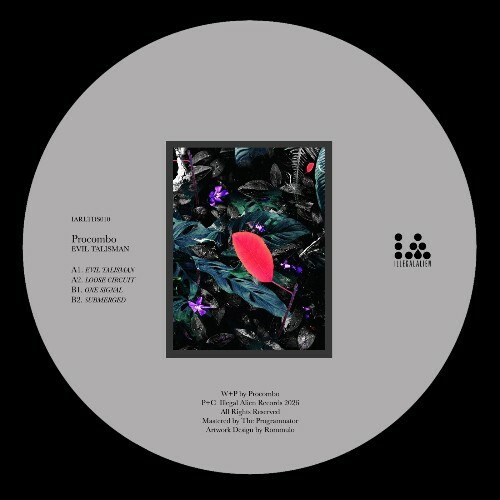 Procombo — Evil Talisman (2026)