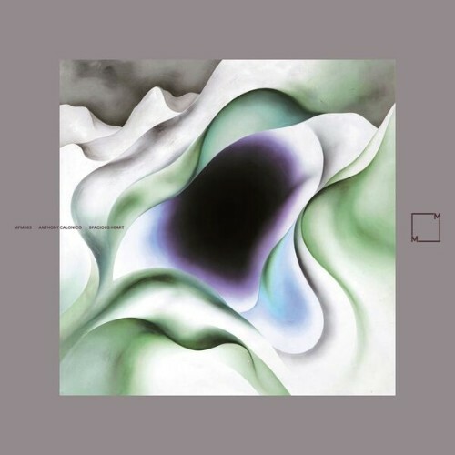  Anthony Calonico - Spacious Heart (2026) 