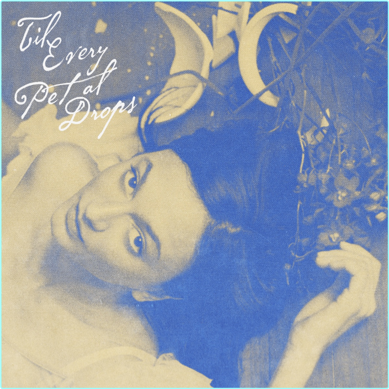 [Image: ME16WRHG_o.png]