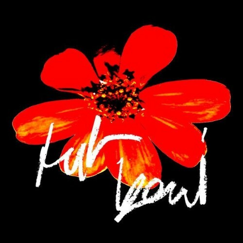  Die Sauna - tut beni (2026) 