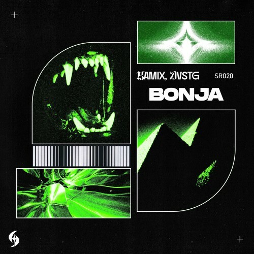  Kamix x DVSTG - Bonja (2025) 