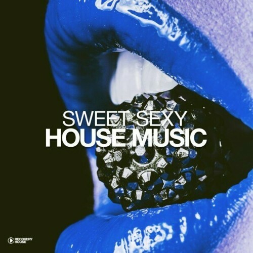  Sweet Sexy Housemusic, Vol. 4 (2024) 