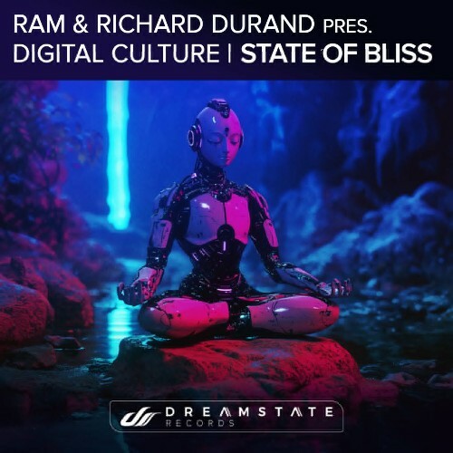 VA -  RAM & Richard Durand pres Digital Culture - State of Bliss (2... MEWXF7G_o