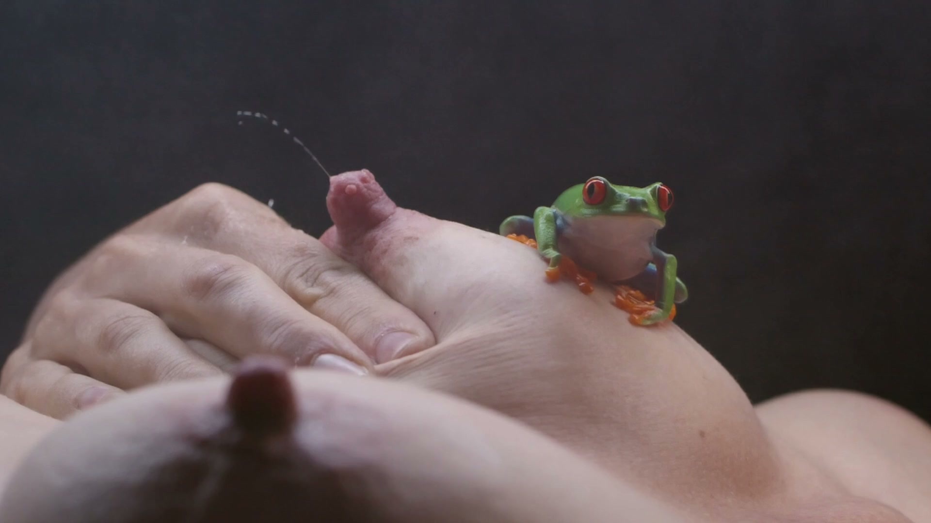 Music Clip Uncensored Pack No.11