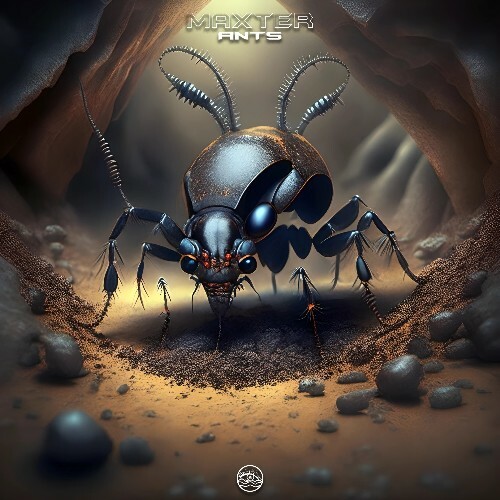 VA - Maxter - ANTS (2024) (MP3) MEV35YK_o