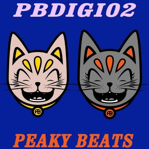 Peaky Beats - PBDIGI02 (2023) MP3