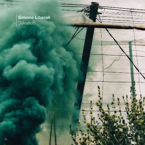  Simone Liberali - Selvatico (2025) 