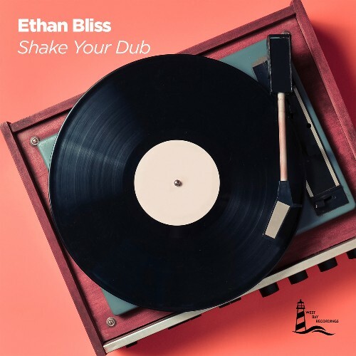  Ethan Bliss - Shake Your Dub (2026) 