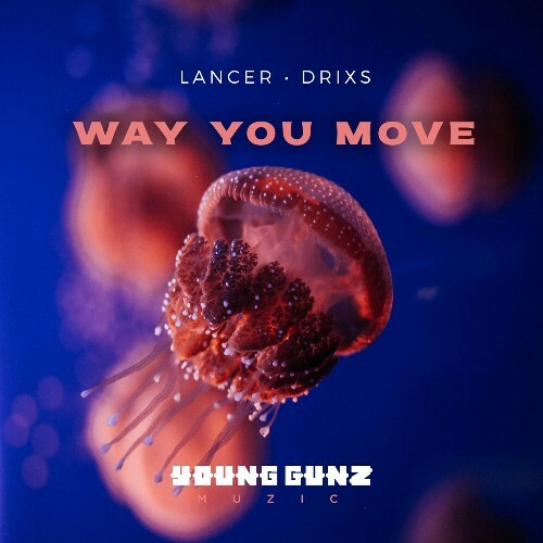 Lancer & drixs — Way You Move (2024)