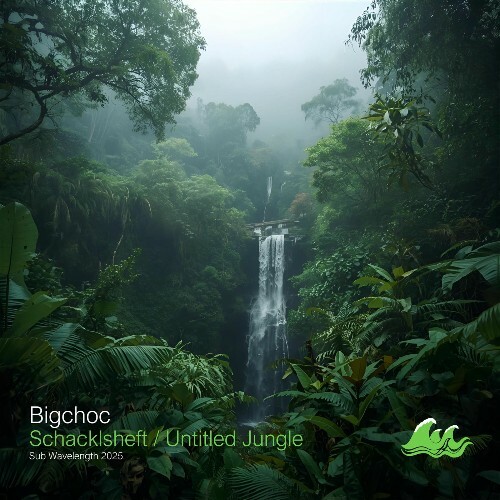  Bigchoc - Schacklsheft / Untitled Jungle (2025) 
