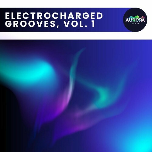  Electrocharged Grooves, Vol. 1 (2025) 