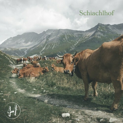  Die Hoagis - Schiachlhof (2024) 