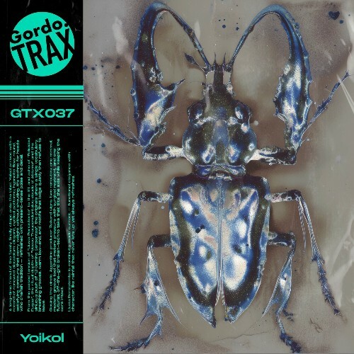  Yoikol - Lluvia Persistente (2025) 