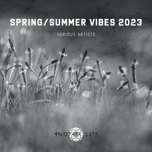  Spring Summer Vibes 2023 (2023) 