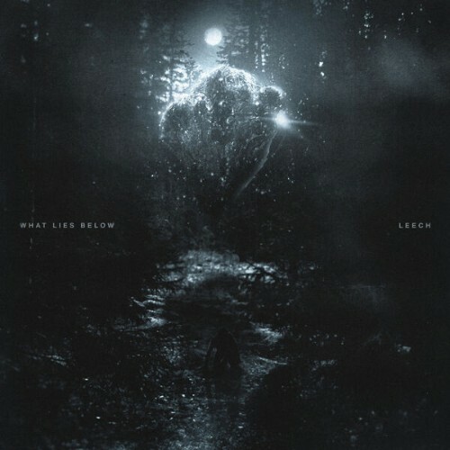  What Lies Below - Leech (2026) 