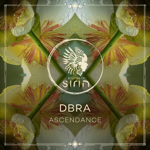  DBRA - AscenDance (2026) 