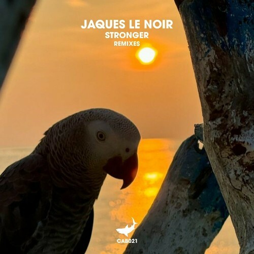  Jaques Le Noir - Stronger (Remixes) (2024) 