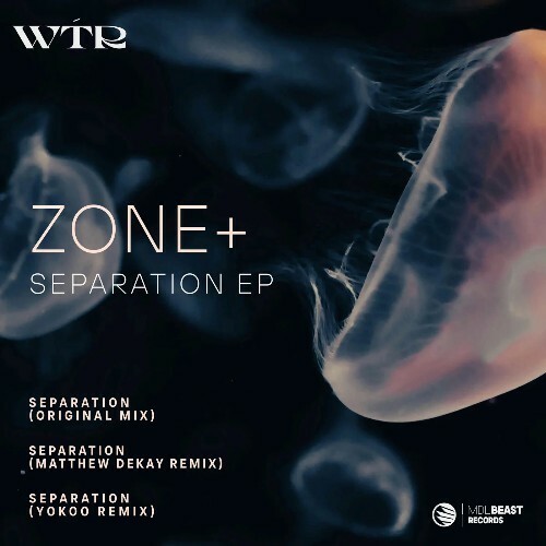  Zone+ - Separation (2024) 
