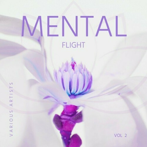  Mental Flight, Vol. 2 (2024) 