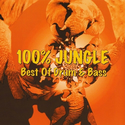 100% Jungle (Best Of Drum & Bass) (2025)