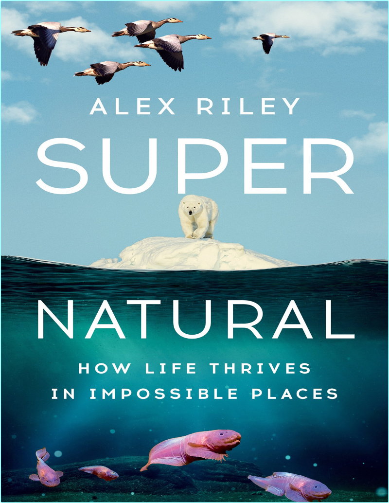 [Image: ME16FY81_o.png]