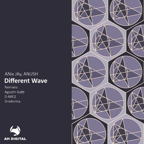  ANix JAy & Anush - Different Wave (2025) 