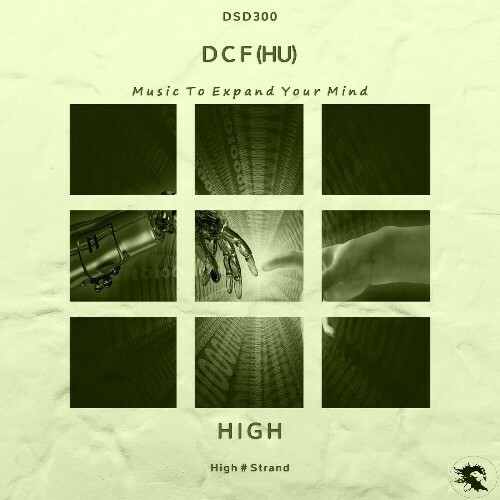  DCF (HU) - High (2025) 