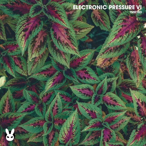  Electronic Pressure VI (2024) 