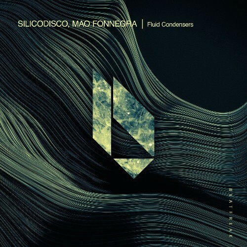 Silicodisco & Mao Fonnegra - Fluid Condensers (2025) Silicodisco & Mao Fonnegra - Fluid Condensers (2025)