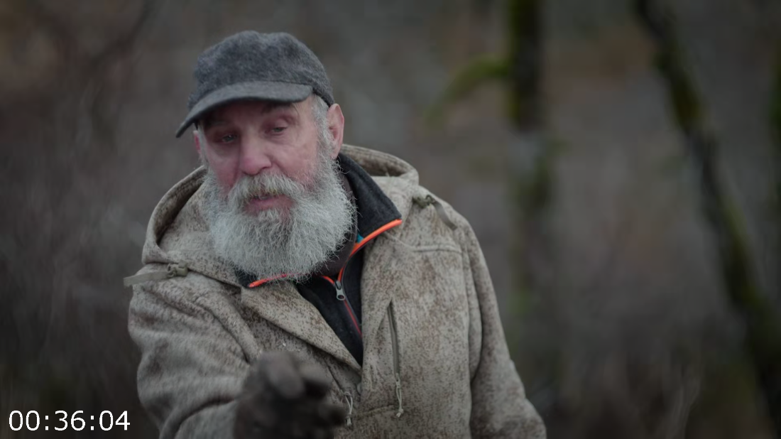 [Image: ME17HSCD_o.png]