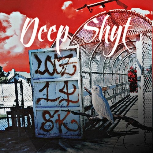  Deep Shyt - Deep Shyt (2024) 