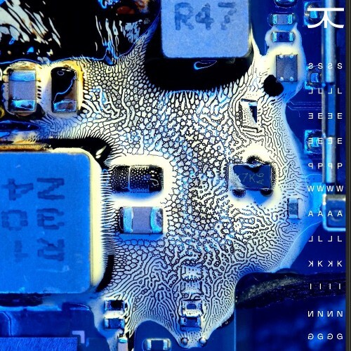 Fehrplay - Sleepwalking (2026) 
