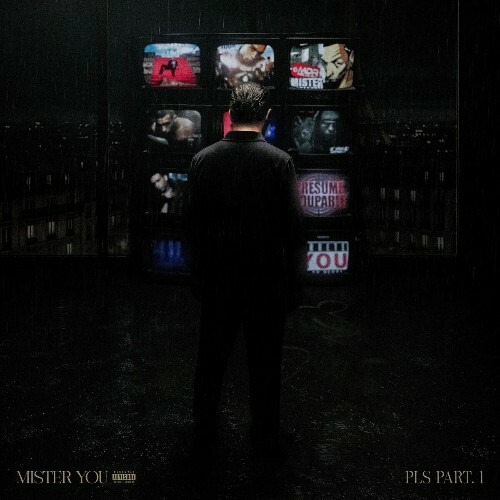  Mister You - PLS (2025) 