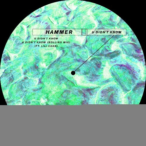  Hammer ft. Lili Chan - U Didn't Know (2025) 