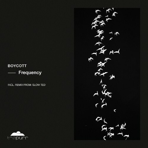  Boycott - Frequency (2025) 