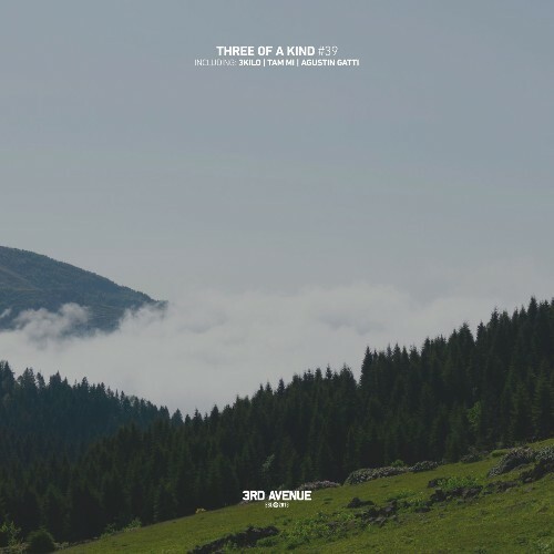  3Kilo & Agustin Gatti & Tam Mi - Three of a Kind #39 (2026) 