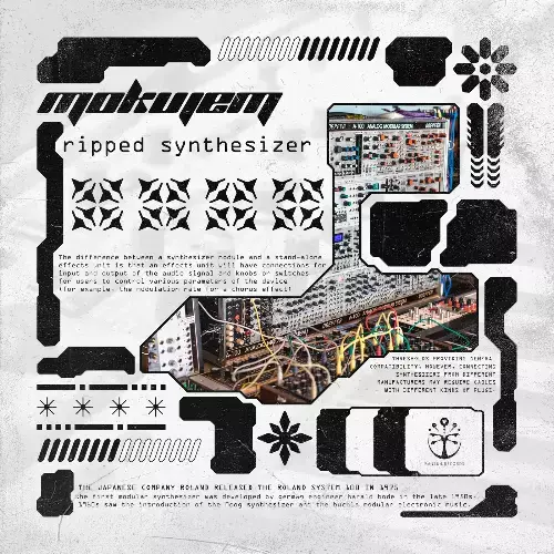  Mokujem - Ripped Synthesizer (2024) 