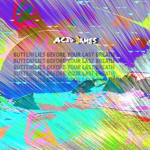 Acid James - Butterflies Before Your Last Breath (2024)