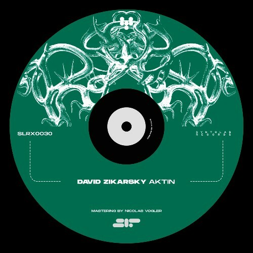  David Zikarsky - Aktin (2025) 