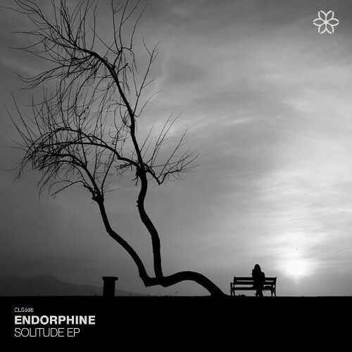  Endorphine - Solitude (2026) 