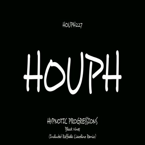  Hypnotic Progressions - Black Vines (Raffaele Ciavolino Remix) (2025) 
