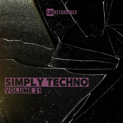  Simply Techno, Vol. 21 (2024) 