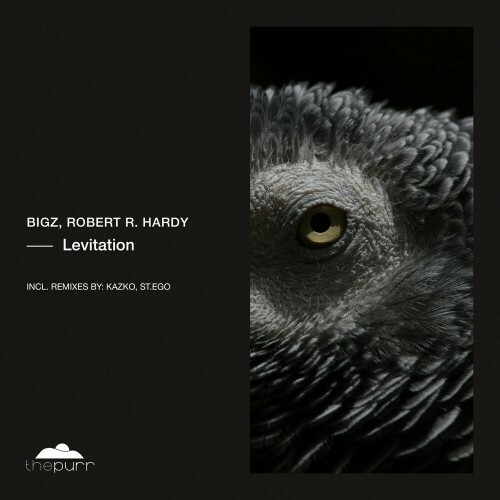  BiGz with Robert R. Hardy - Levitation (2024) 