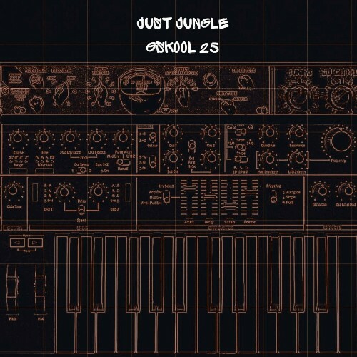 Just Jungle - G Skool Vol 25 (2024)