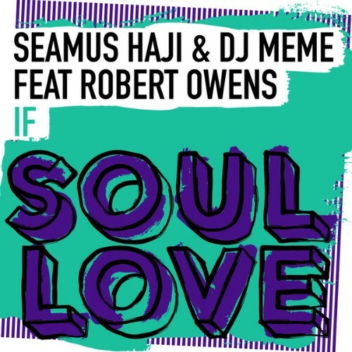  Seamus Haji x DJ Meme x Robert Owens - If (2026) 