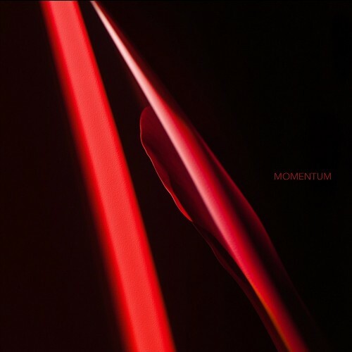 Wigbert - Momentum (2025)