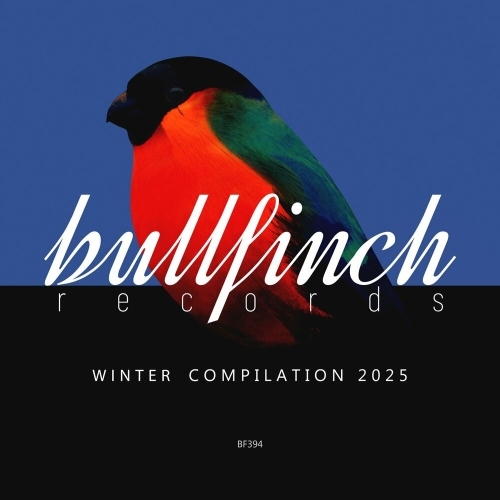  Bullfinch Winter 2025 Compilation (2025) 