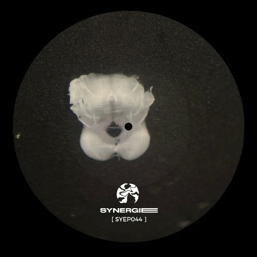  David Reina - Trascend (2026) 